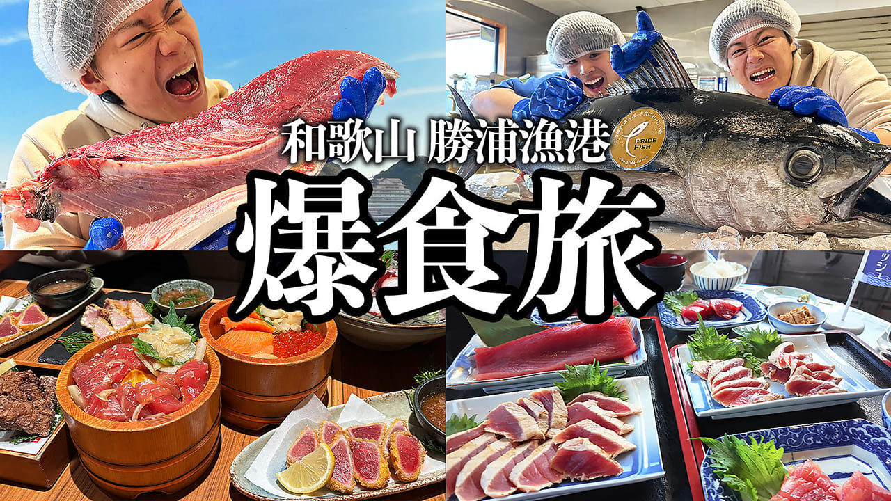 【ぽんまつはうす】